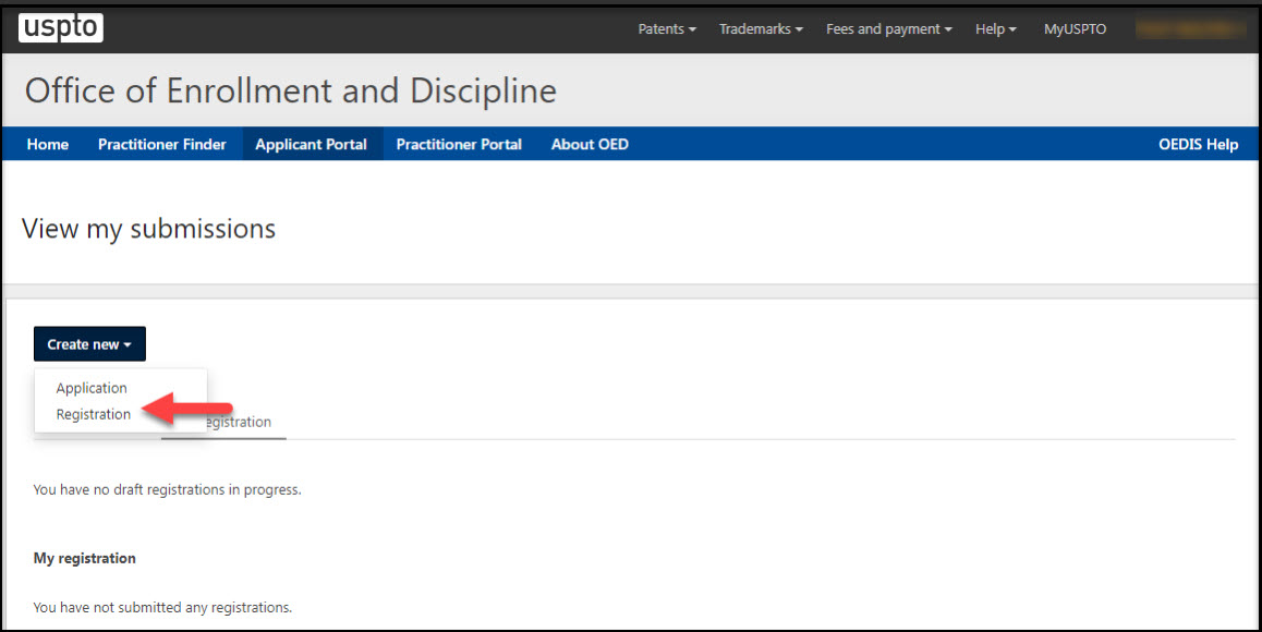 Application Home Page